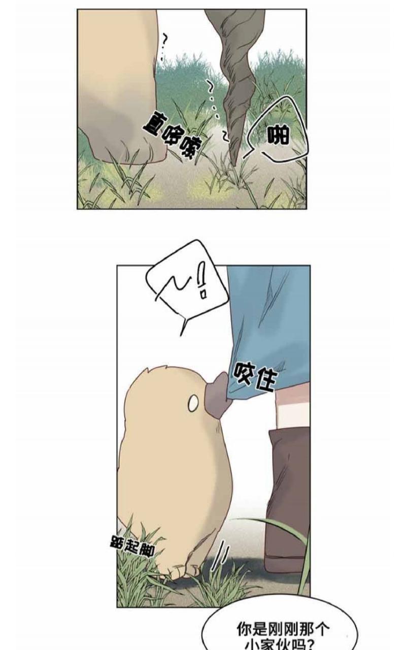 不一样的魔法师/奇幻魔法师[耽美]韩漫全集-第20话无删减无遮挡章节图片 