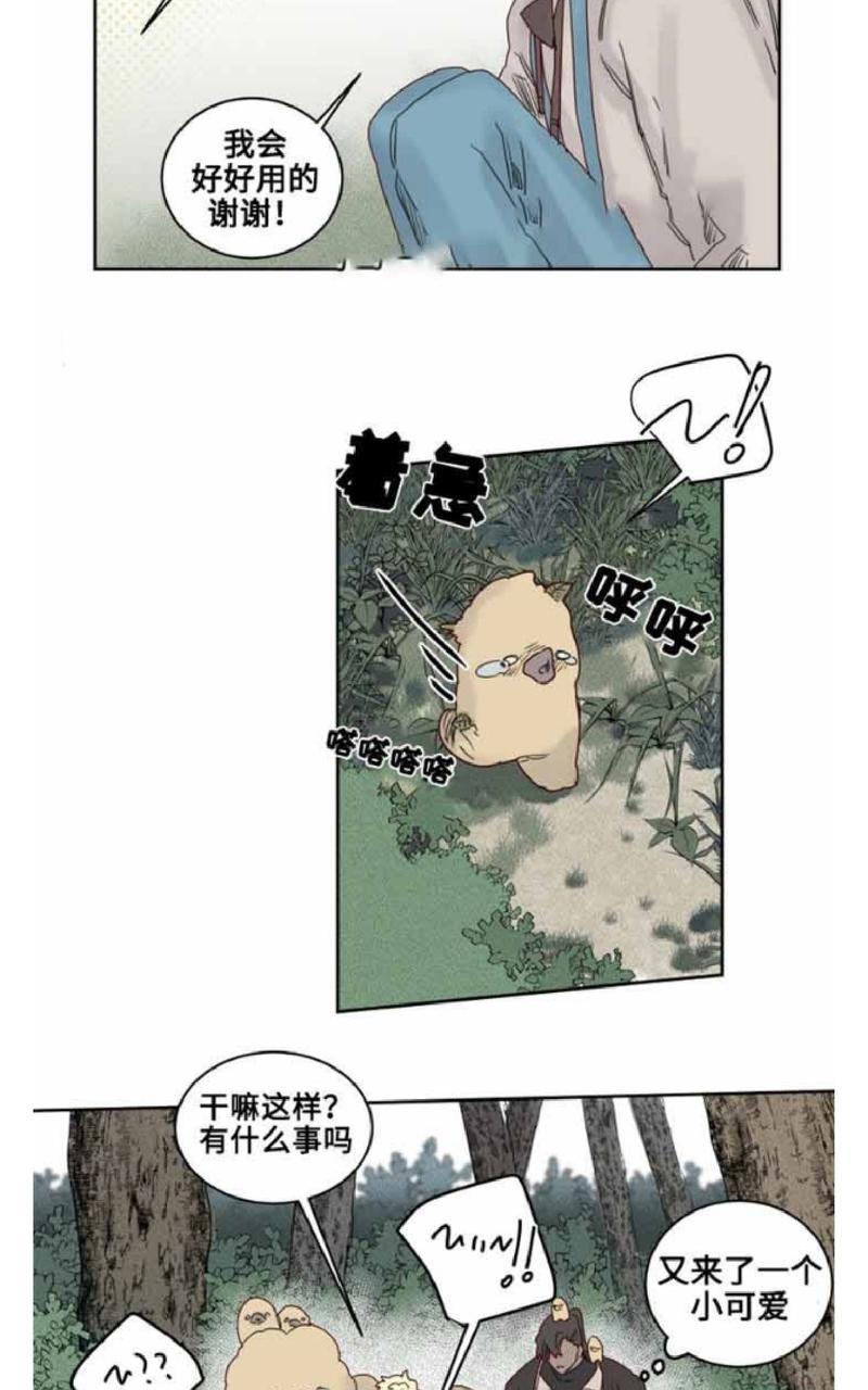 不一样的魔法师/奇幻魔法师[耽美]韩漫全集-第20话无删减无遮挡章节图片 