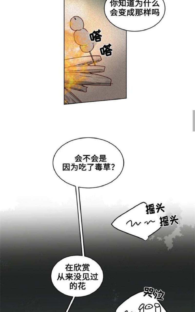 不一样的魔法师/奇幻魔法师[耽美]韩漫全集-第21话无删减无遮挡章节图片 