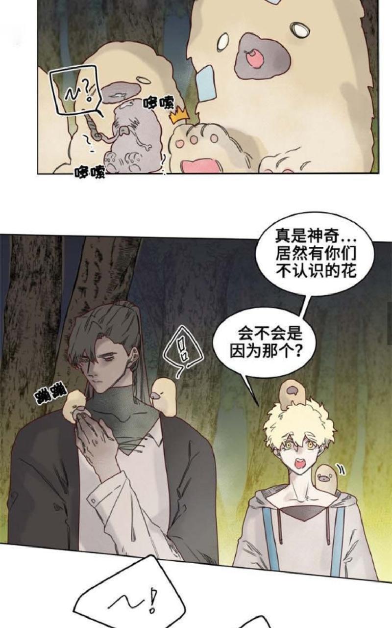 不一样的魔法师/奇幻魔法师[耽美]韩漫全集-第21话无删减无遮挡章节图片 