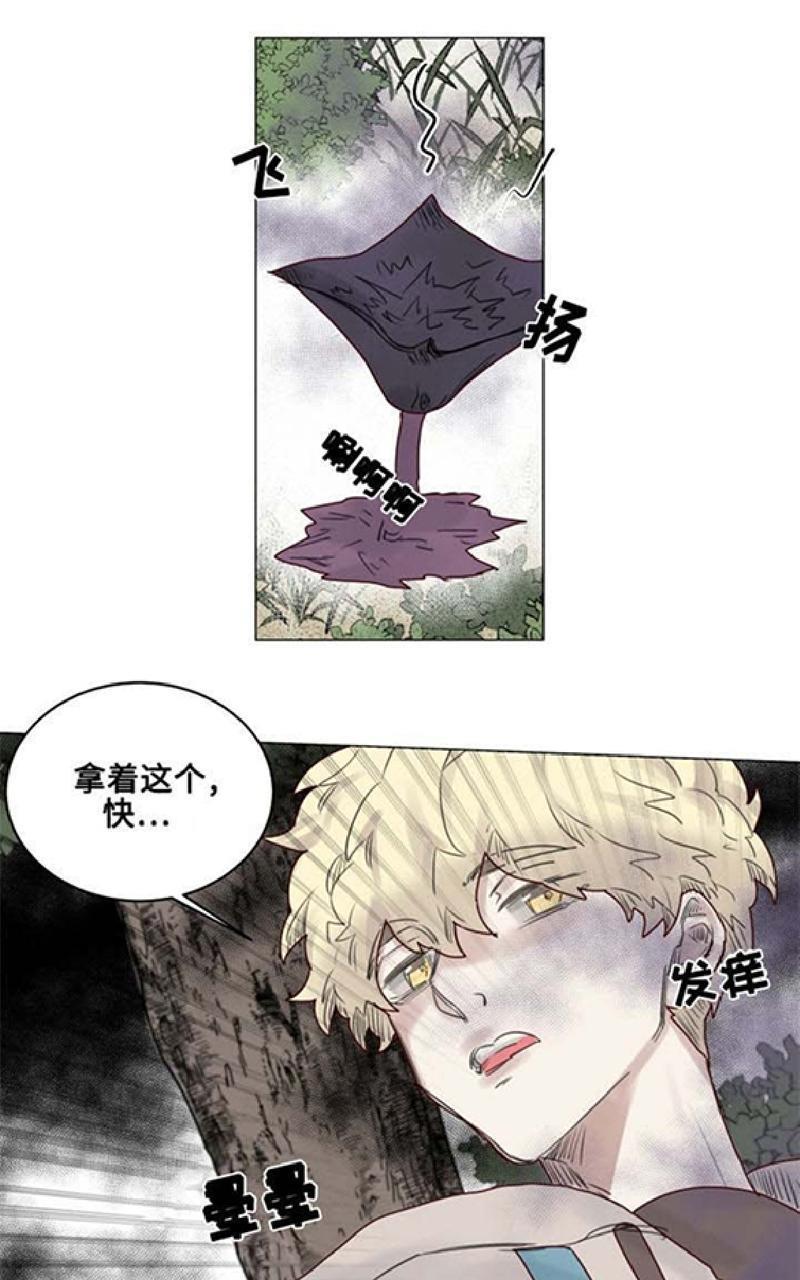 不一样的魔法师/奇幻魔法师[耽美]韩漫全集-第21话无删减无遮挡章节图片 