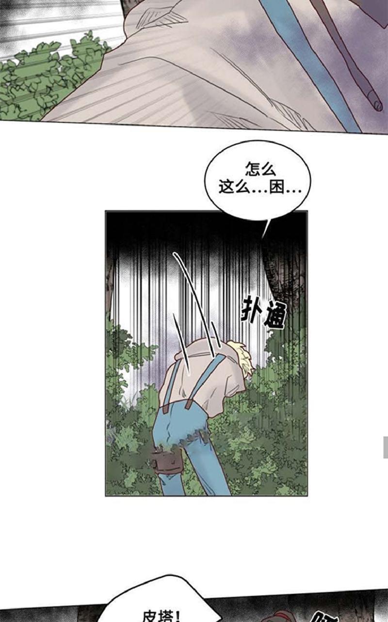 不一样的魔法师/奇幻魔法师[耽美]韩漫全集-第21话无删减无遮挡章节图片 