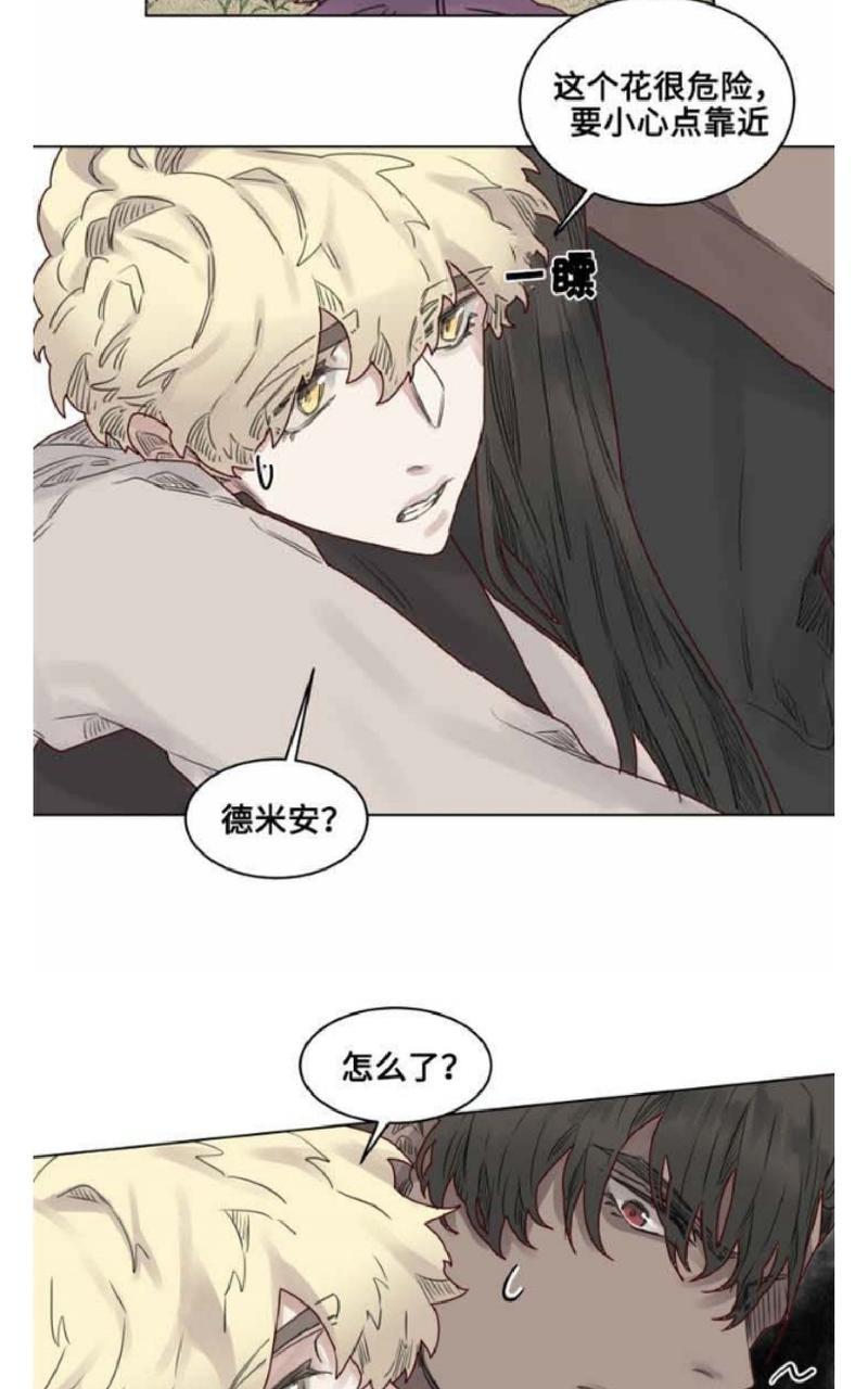 不一样的魔法师/奇幻魔法师[耽美]韩漫全集-第23话无删减无遮挡章节图片 