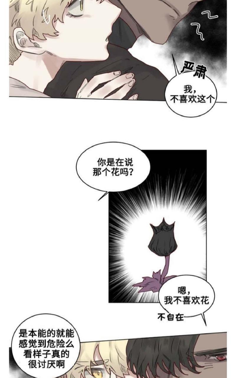 不一样的魔法师/奇幻魔法师[耽美]韩漫全集-第23话无删减无遮挡章节图片 