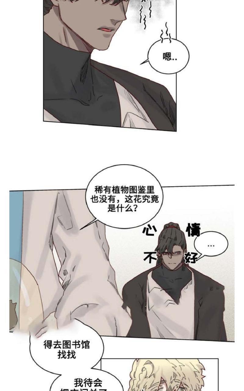 不一样的魔法师/奇幻魔法师[耽美]韩漫全集-第23话无删减无遮挡章节图片 
