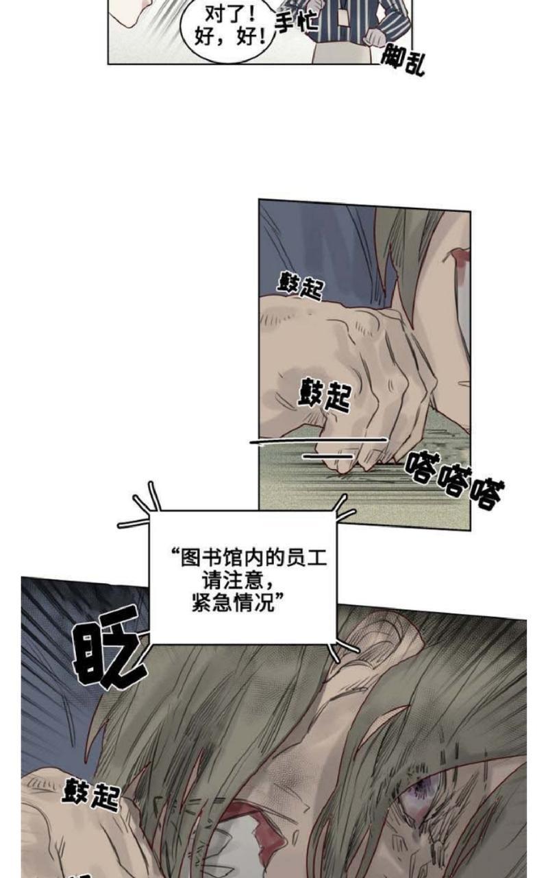 不一样的魔法师/奇幻魔法师[耽美]韩漫全集-第25话无删减无遮挡章节图片 