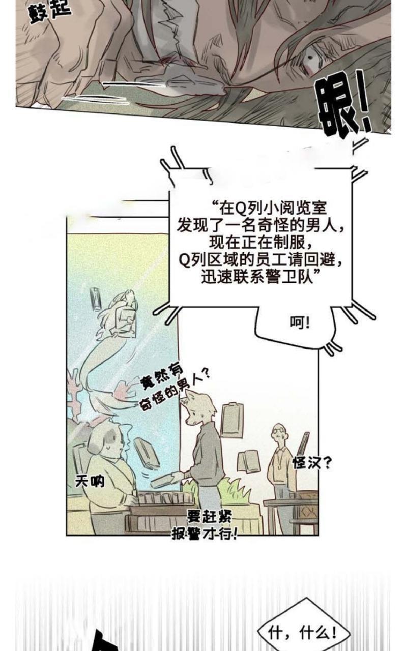 不一样的魔法师/奇幻魔法师[耽美]韩漫全集-第25话无删减无遮挡章节图片 