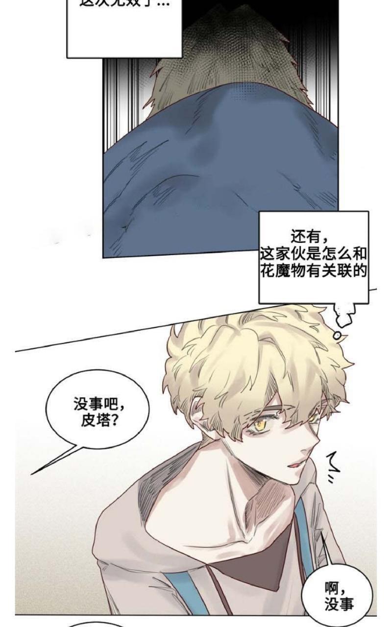 不一样的魔法师/奇幻魔法师[耽美]韩漫全集-第25话无删减无遮挡章节图片 