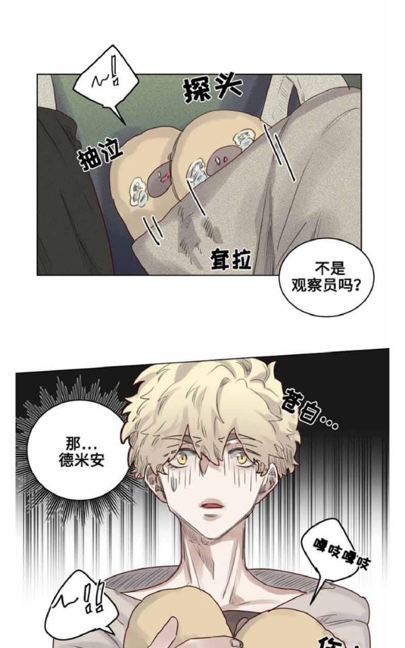 不一样的魔法师/奇幻魔法师[耽美]韩漫全集-第26话无删减无遮挡章节图片 
