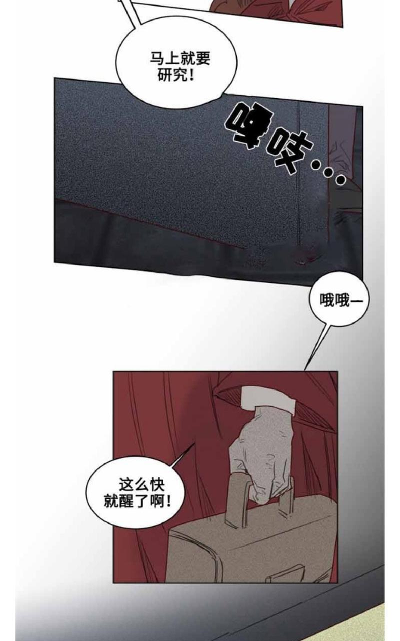 不一样的魔法师/奇幻魔法师[耽美]韩漫全集-第27话无删减无遮挡章节图片 