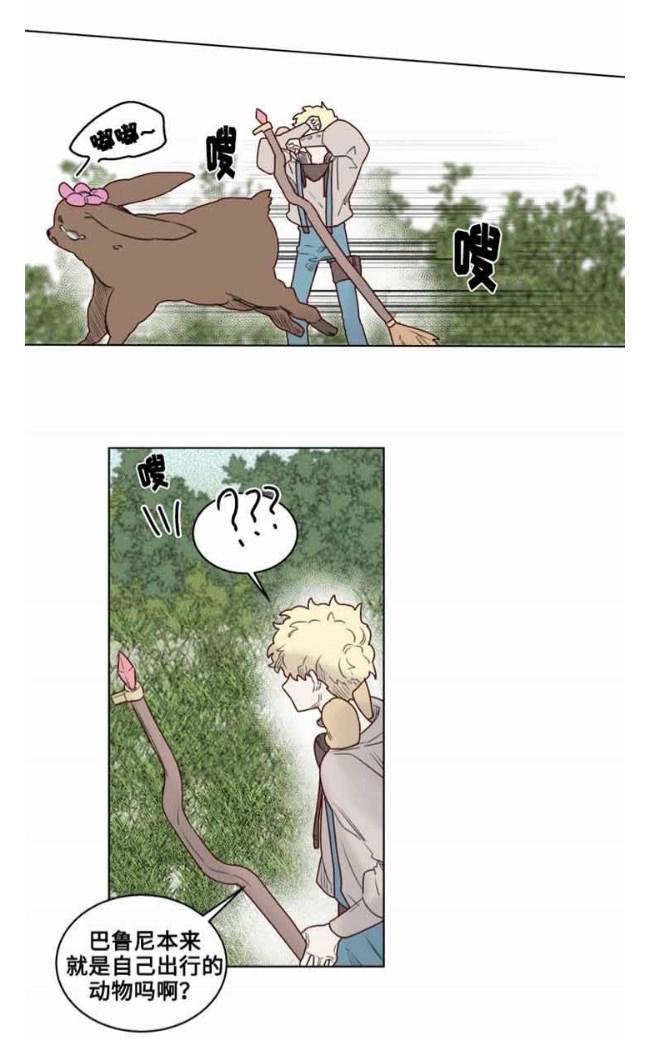 不一样的魔法师/奇幻魔法师[耽美]韩漫全集-第28话无删减无遮挡章节图片 