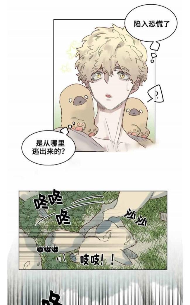 不一样的魔法师/奇幻魔法师[耽美]韩漫全集-第28话无删减无遮挡章节图片 