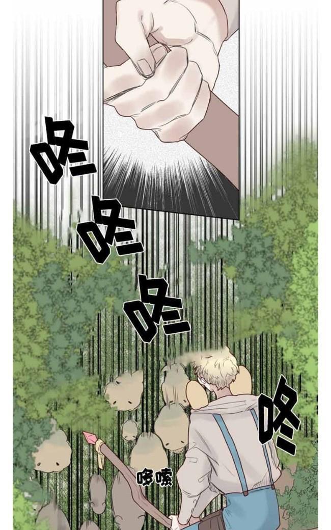 不一样的魔法师/奇幻魔法师[耽美]韩漫全集-第28话无删减无遮挡章节图片 