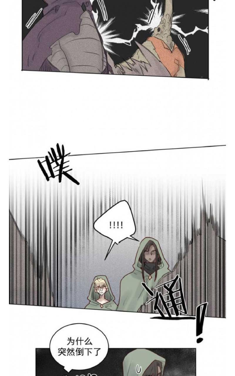 不一样的魔法师/奇幻魔法师[耽美]韩漫全集-第36话无删减无遮挡章节图片 