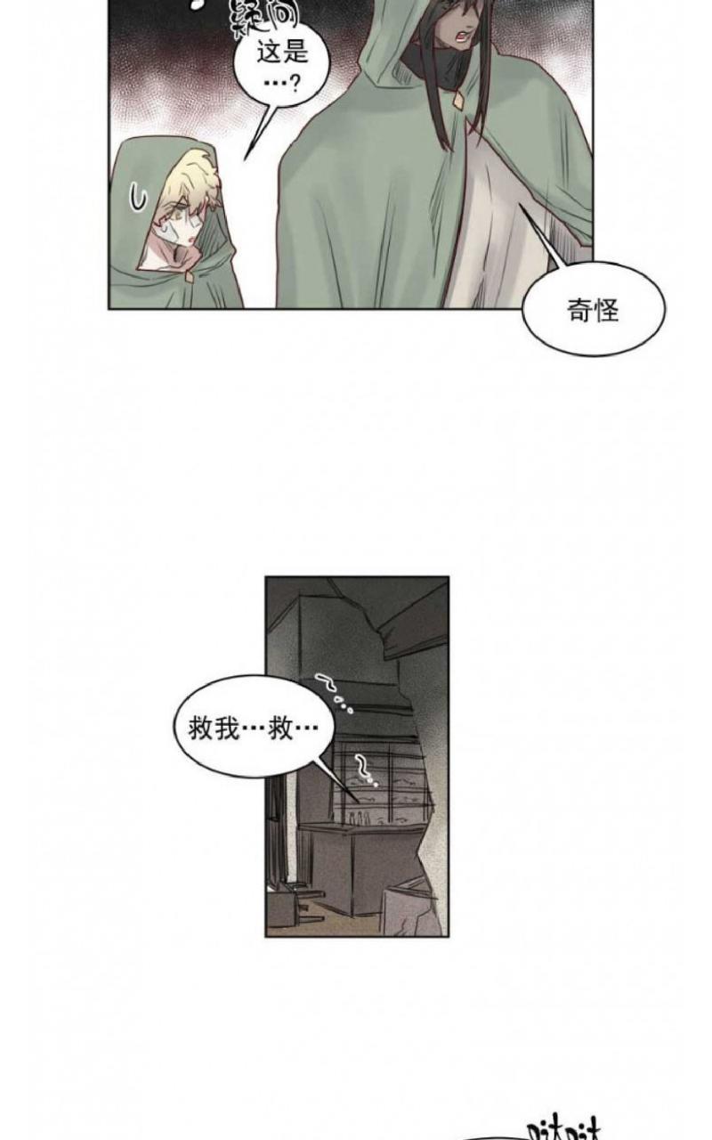 不一样的魔法师/奇幻魔法师[耽美]韩漫全集-第36话无删减无遮挡章节图片 