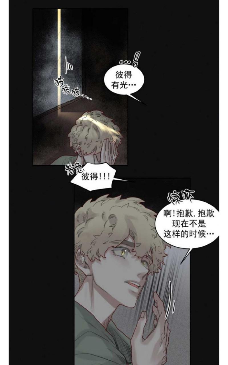 不一样的魔法师/奇幻魔法师[耽美]韩漫全集-第37话无删减无遮挡章节图片 