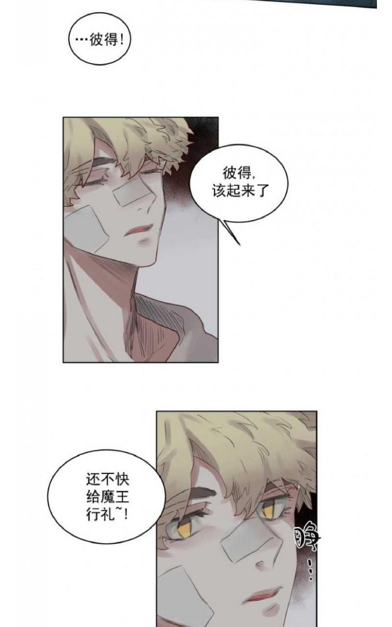 不一样的魔法师/奇幻魔法师[耽美]韩漫全集-第38话无删减无遮挡章节图片 