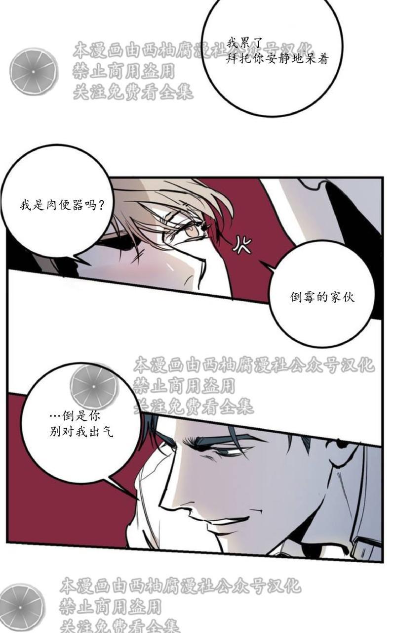Bodycomplex/身体情结[耽美]韩漫全集-第1话无删减无遮挡章节图片 