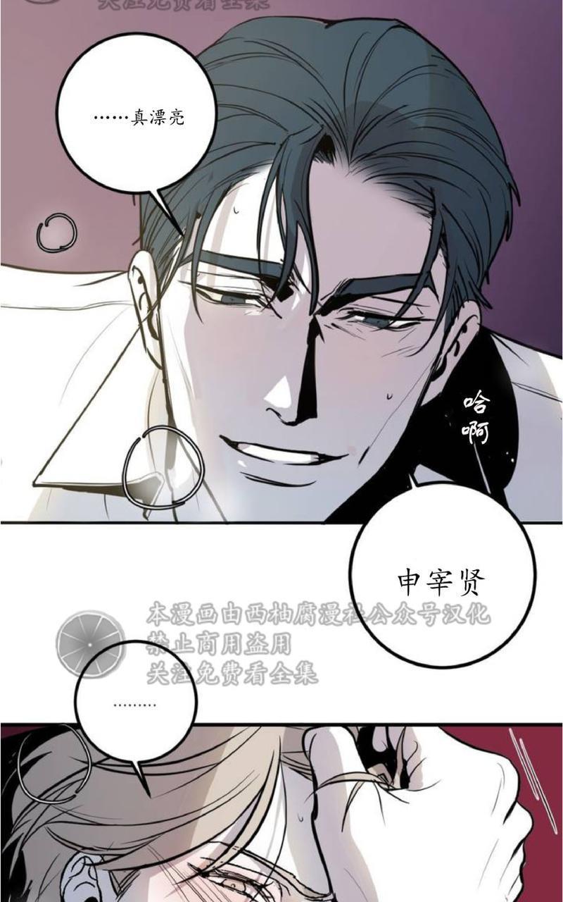 Bodycomplex/身体情结[耽美]韩漫全集-第1话无删减无遮挡章节图片 