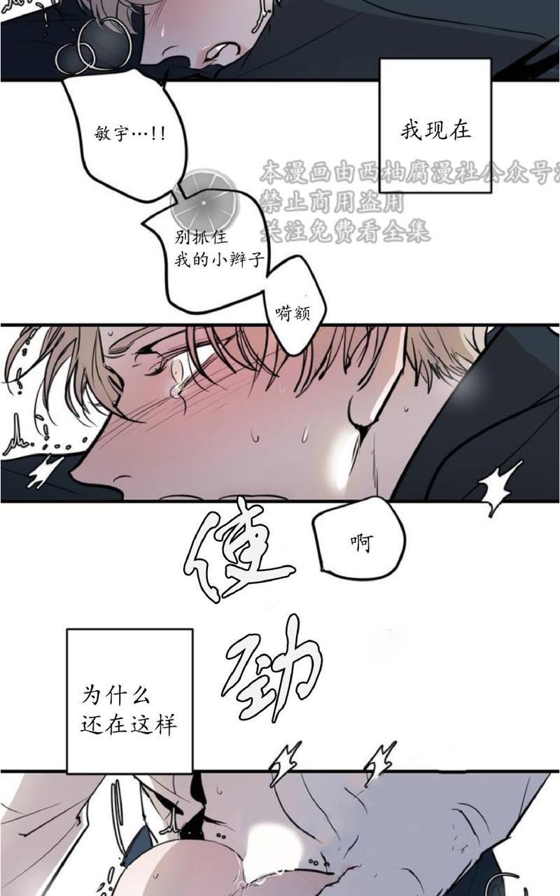 Bodycomplex/身体情结[耽美]韩漫全集-第1话无删减无遮挡章节图片 