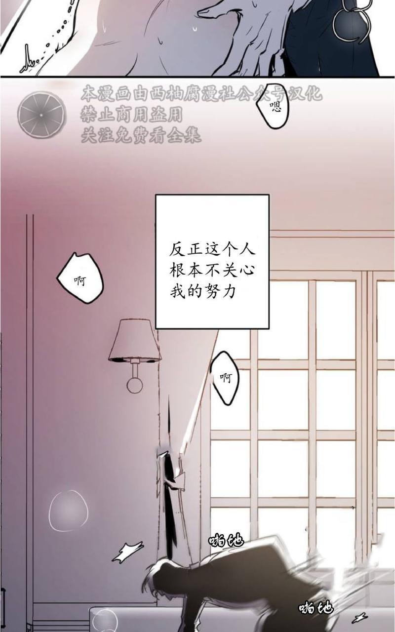 Bodycomplex/身体情结[耽美]韩漫全集-第1话无删减无遮挡章节图片 