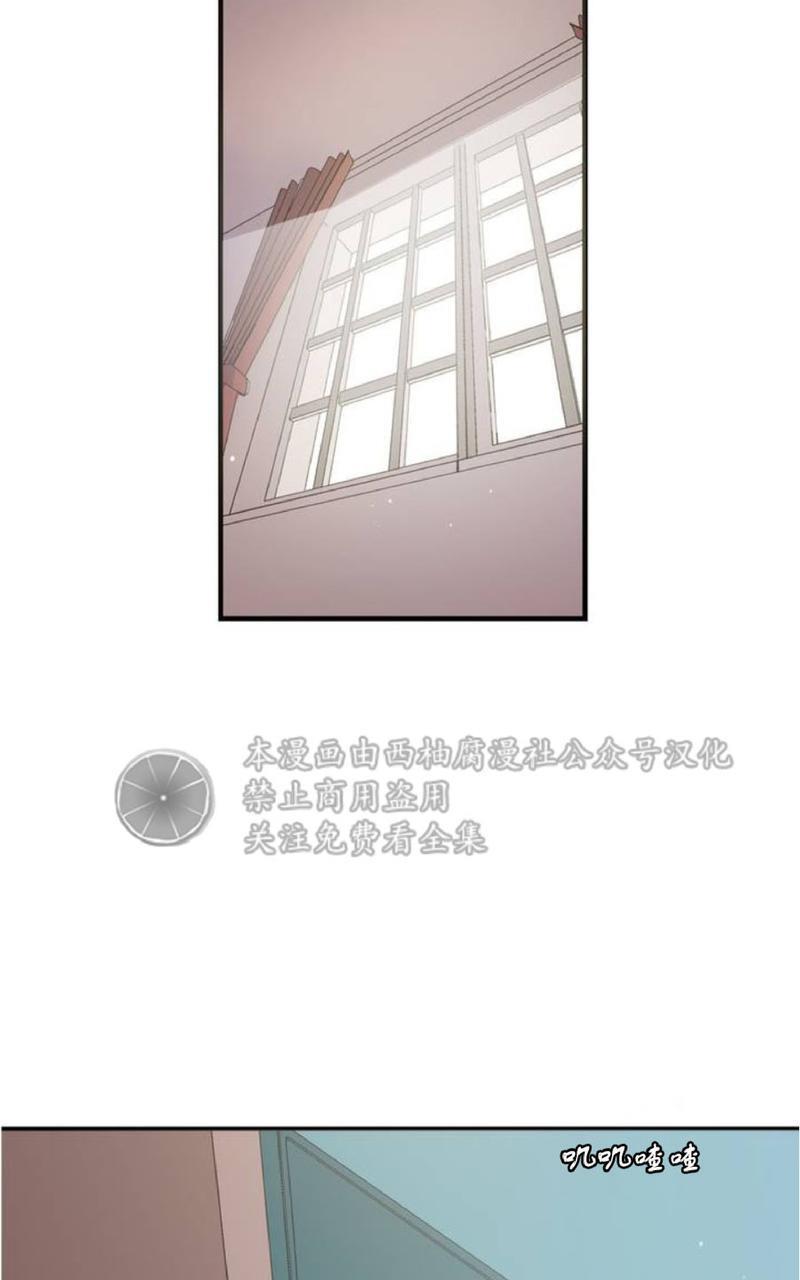 Bodycomplex/身体情结[耽美]韩漫全集-第1话无删减无遮挡章节图片 