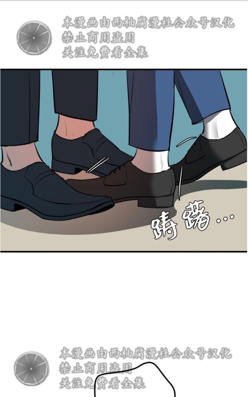 Bodycomplex/身体情结[耽美]韩漫全集-第3话无删减无遮挡章节图片 