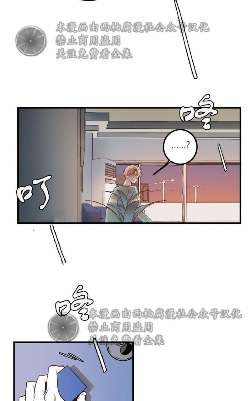 Bodycomplex/身体情结[耽美]韩漫全集-第4话无删减无遮挡章节图片 