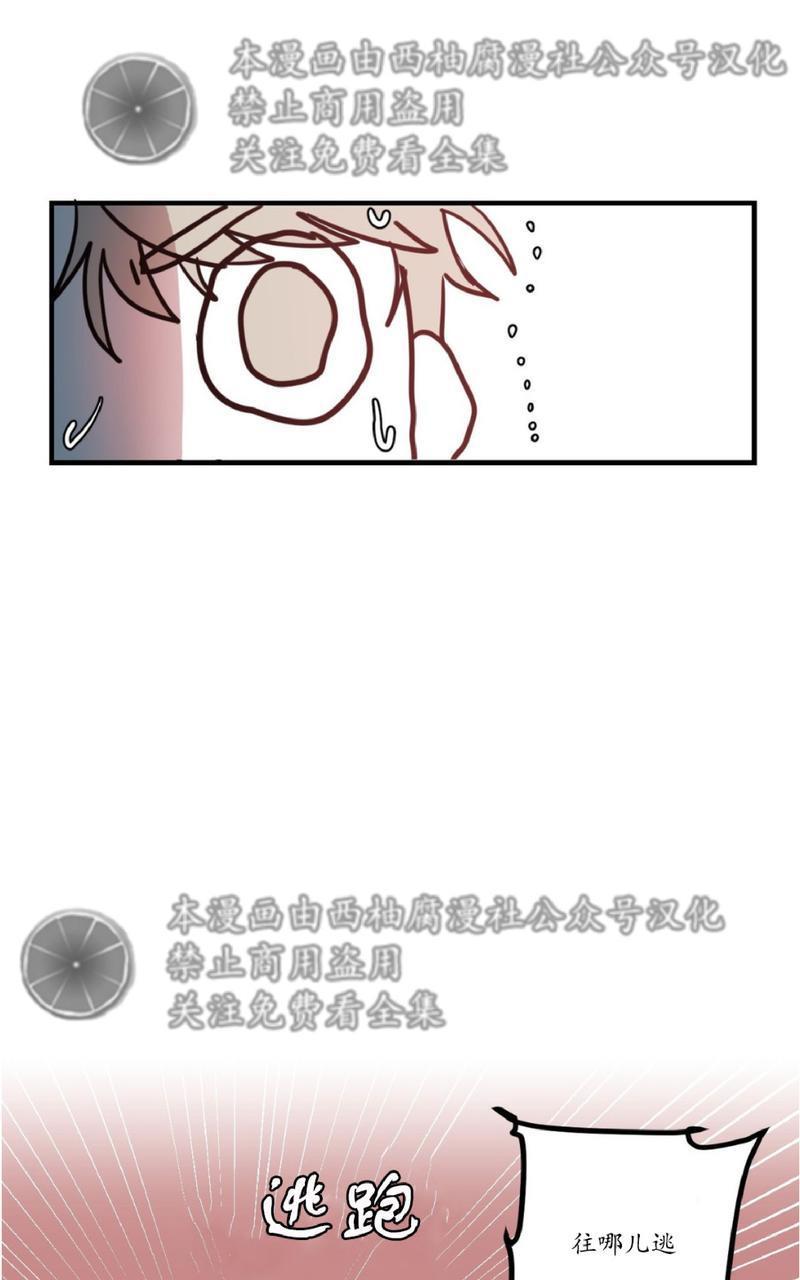 Bodycomplex/身体情结[耽美]韩漫全集-第6话无删减无遮挡章节图片 