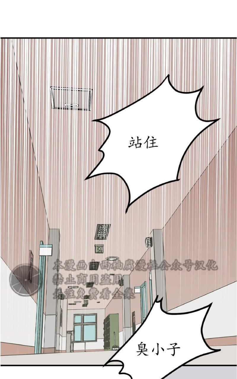 Bodycomplex/身体情结[耽美]韩漫全集-第6话无删减无遮挡章节图片 