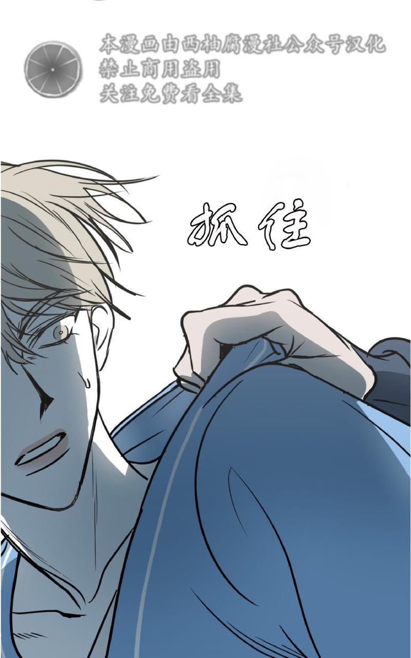 Bodycomplex/身体情结[耽美]韩漫全集-第6话无删减无遮挡章节图片 