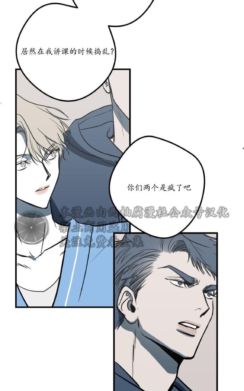 Bodycomplex/身体情结[耽美]韩漫全集-第6话无删减无遮挡章节图片 
