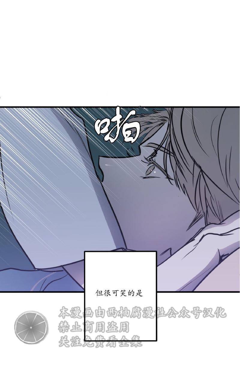 Bodycomplex/身体情结[耽美]韩漫全集-第8话无删减无遮挡章节图片 