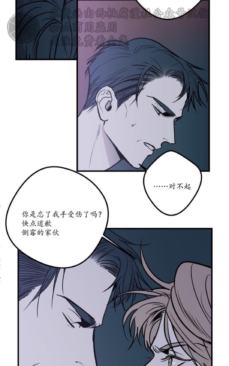 Bodycomplex/身体情结[耽美]韩漫全集-第8话无删减无遮挡章节图片 
