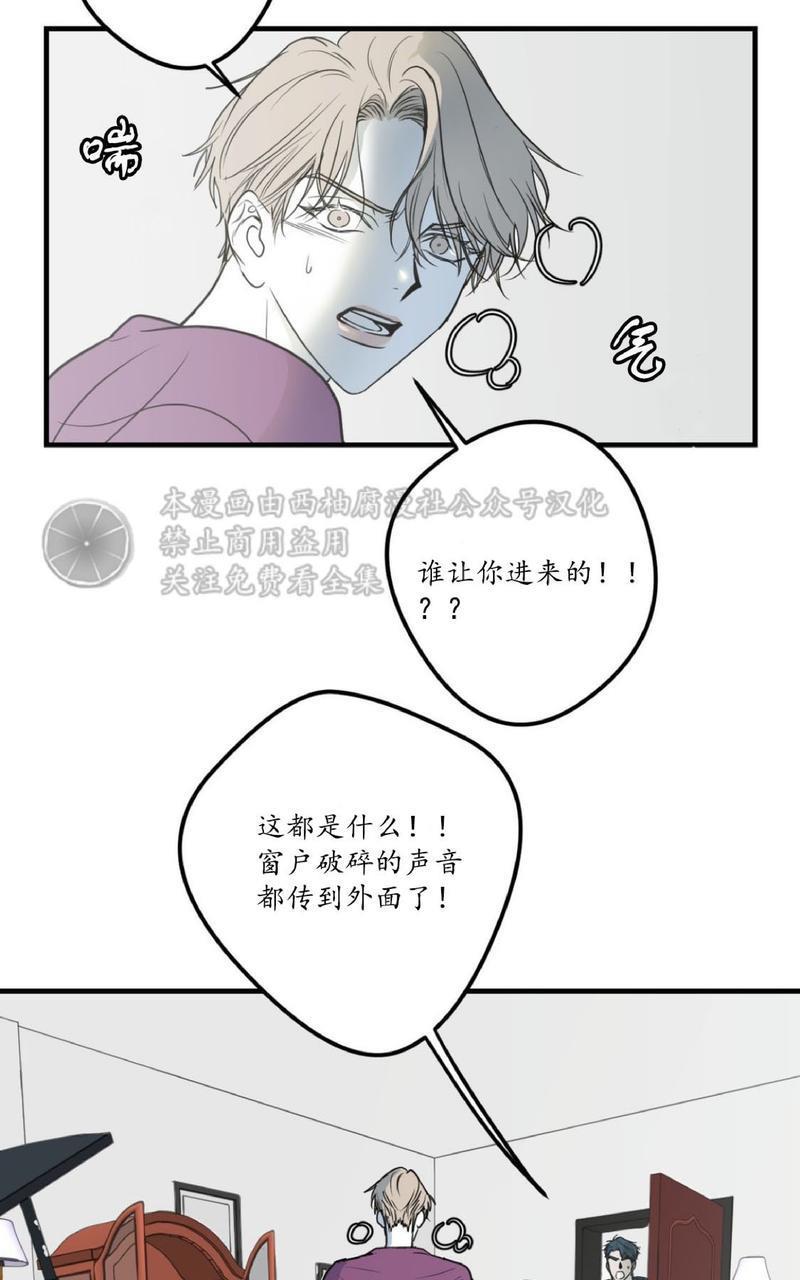 Bodycomplex/身体情结[耽美]韩漫全集-第9话无删减无遮挡章节图片 