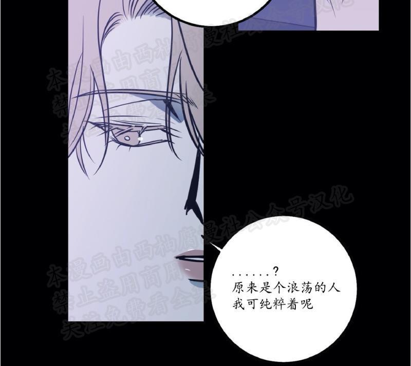 Bodycomplex/身体情结[耽美]韩漫全集-第11话无删减无遮挡章节图片 
