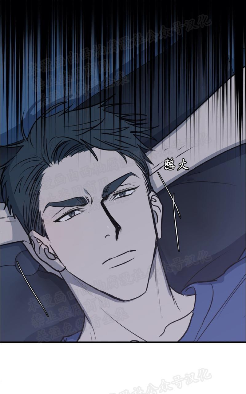 Bodycomplex/身体情结[耽美]韩漫全集-第11话无删减无遮挡章节图片 