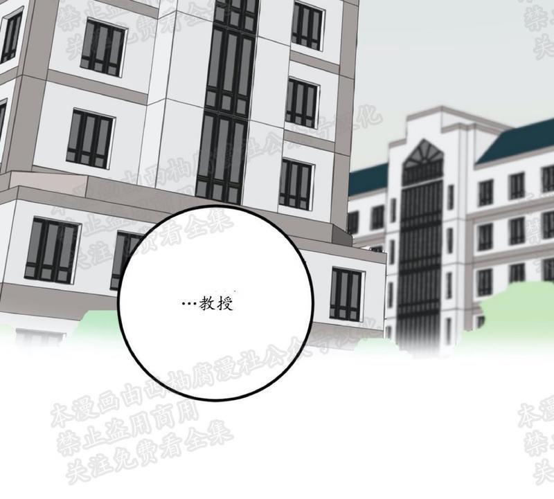 Bodycomplex/身体情结[耽美]韩漫全集-第13话无删减无遮挡章节图片 