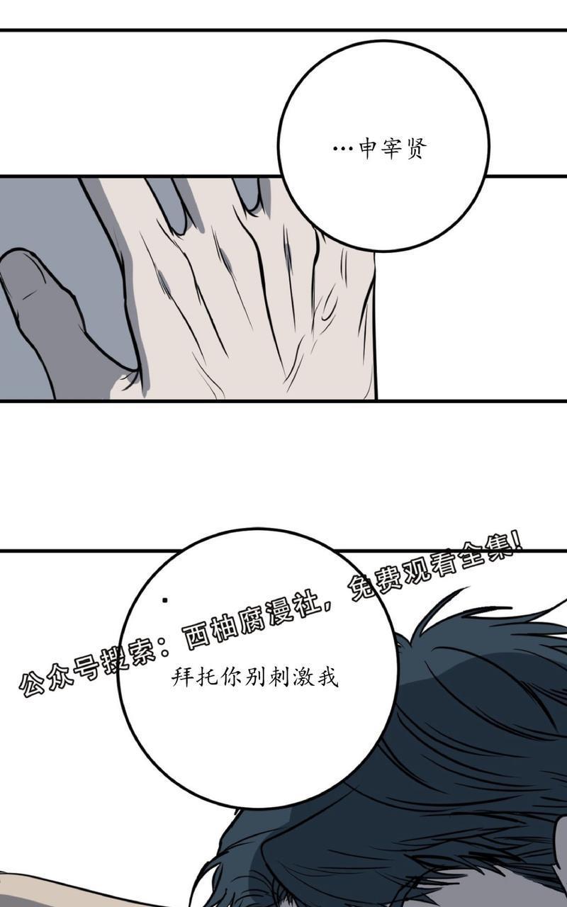 Bodycomplex/身体情结[耽美]韩漫全集-第14话无删减无遮挡章节图片 