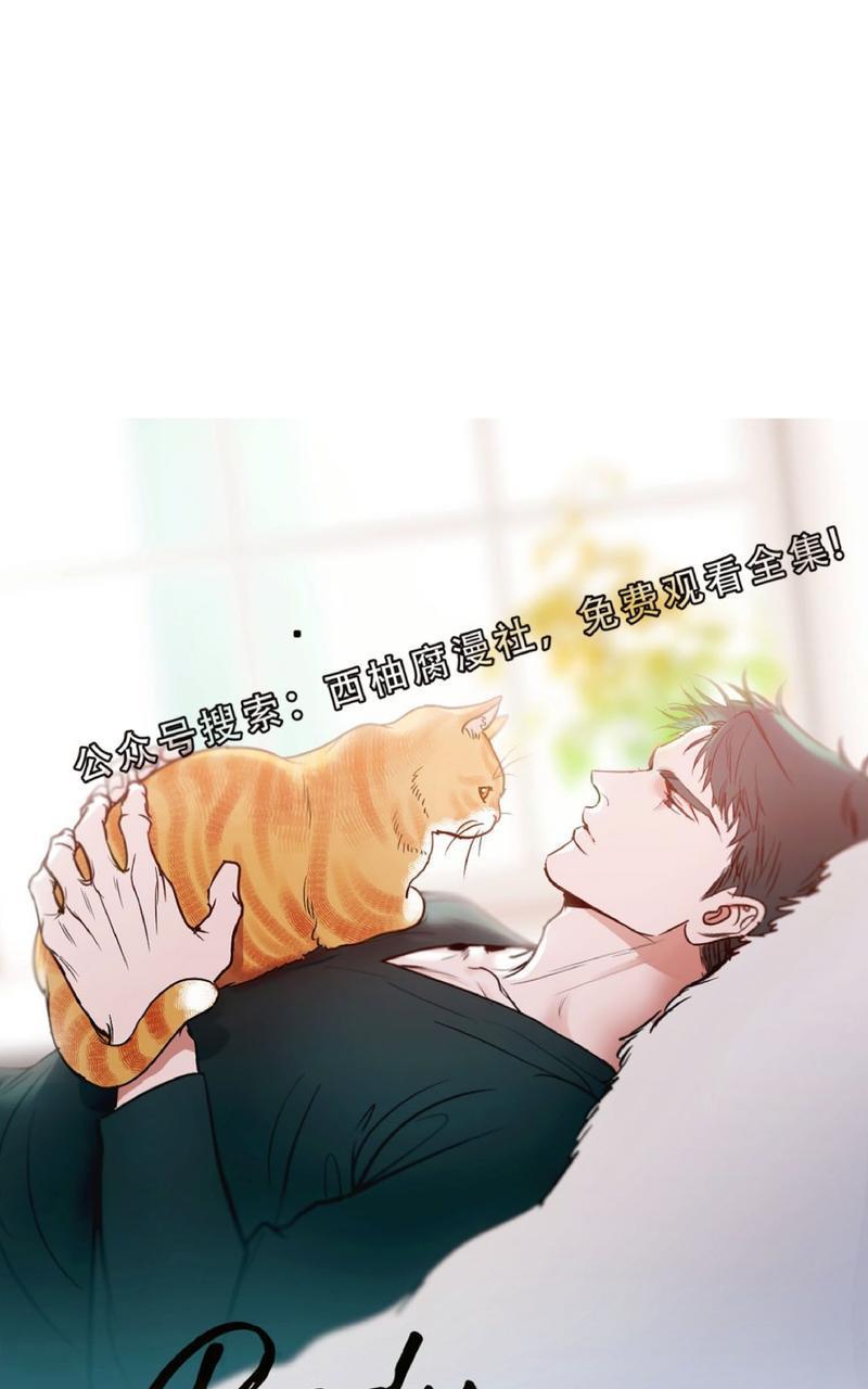 Bodycomplex/身体情结[耽美]韩漫全集-第14话无删减无遮挡章节图片 