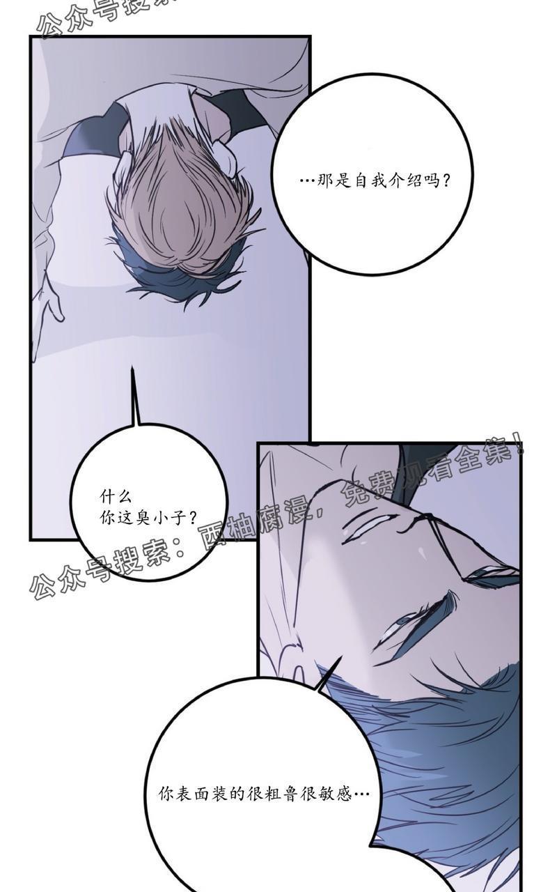 Bodycomplex/身体情结[耽美]韩漫全集-第15话无删减无遮挡章节图片 