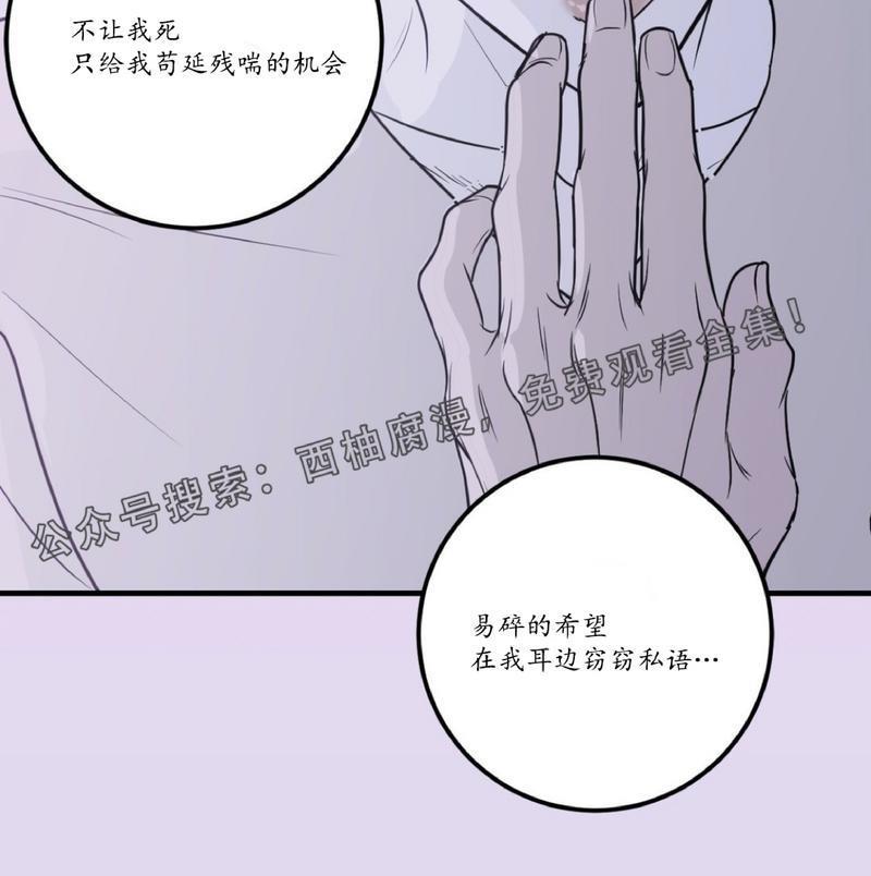 Bodycomplex/身体情结[耽美]韩漫全集-第15话无删减无遮挡章节图片 