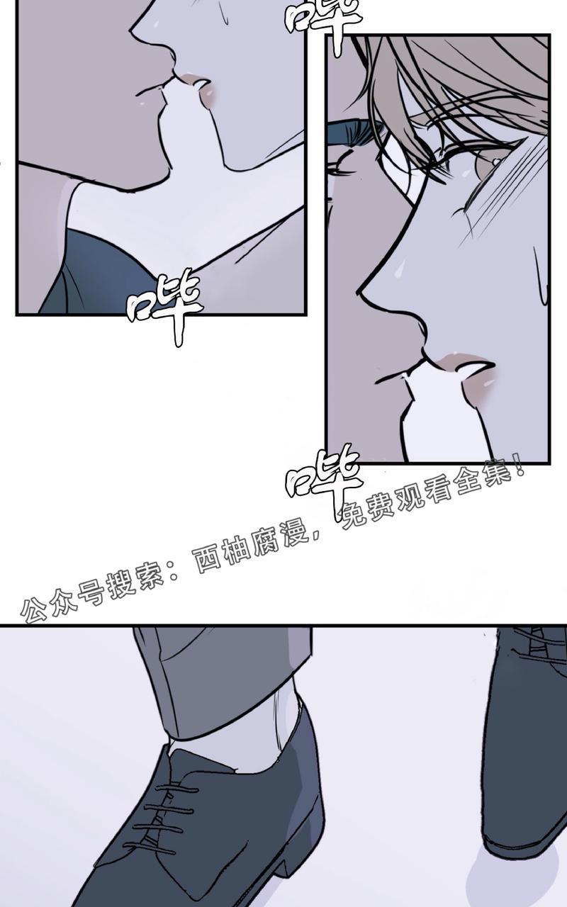 Bodycomplex/身体情结[耽美]韩漫全集-第15话无删减无遮挡章节图片 