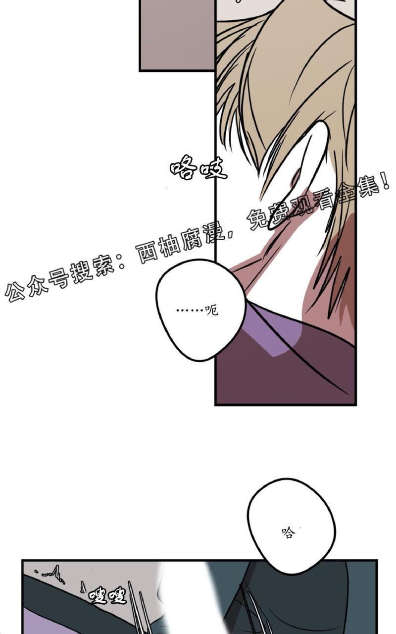 Bodycomplex/身体情结[耽美]韩漫全集-第17话无删减无遮挡章节图片 
