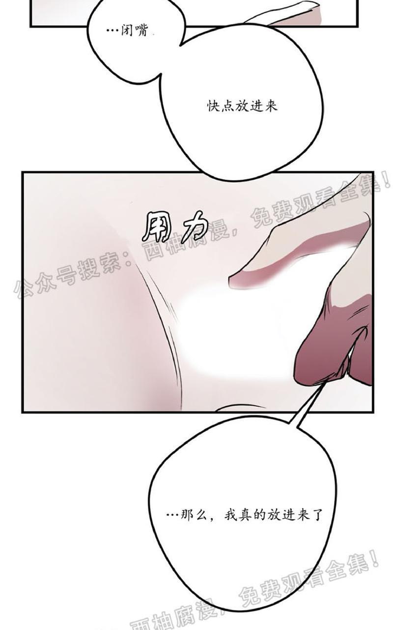 Bodycomplex/身体情结[耽美]韩漫全集-第18话无删减无遮挡章节图片 