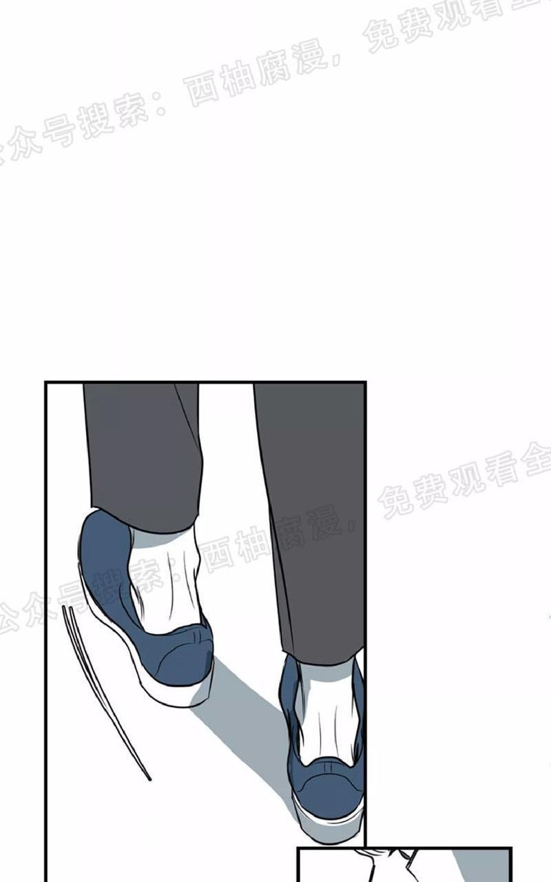 Bodycomplex/身体情结[耽美]韩漫全集-第19话无删减无遮挡章节图片 
