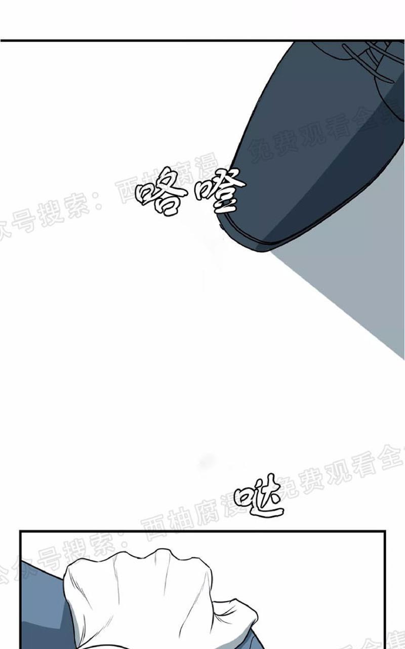 Bodycomplex/身体情结[耽美]韩漫全集-第19话无删减无遮挡章节图片 