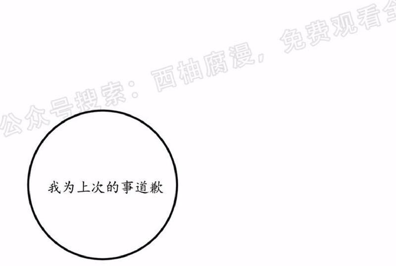 Bodycomplex/身体情结[耽美]韩漫全集-第19话无删减无遮挡章节图片 