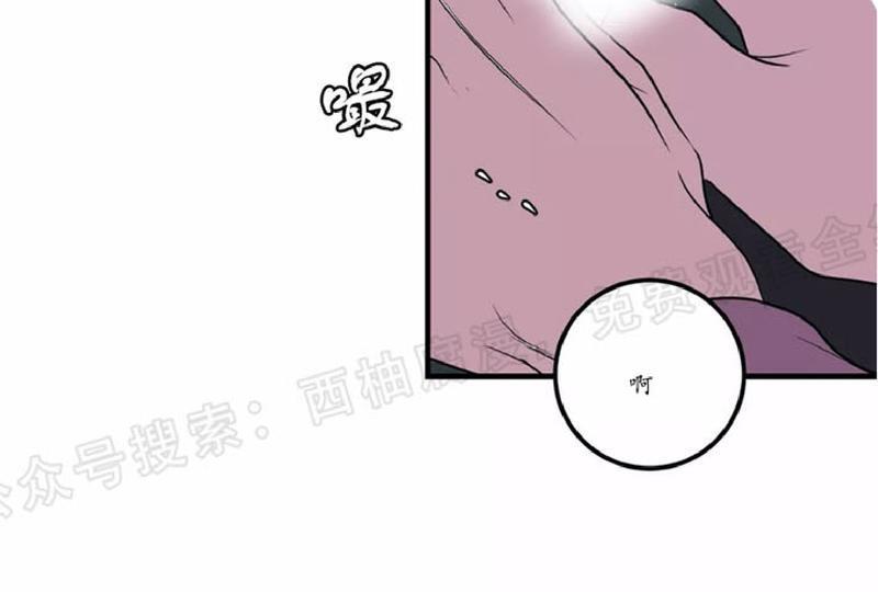 Bodycomplex/身体情结[耽美]韩漫全集-第19话无删减无遮挡章节图片 