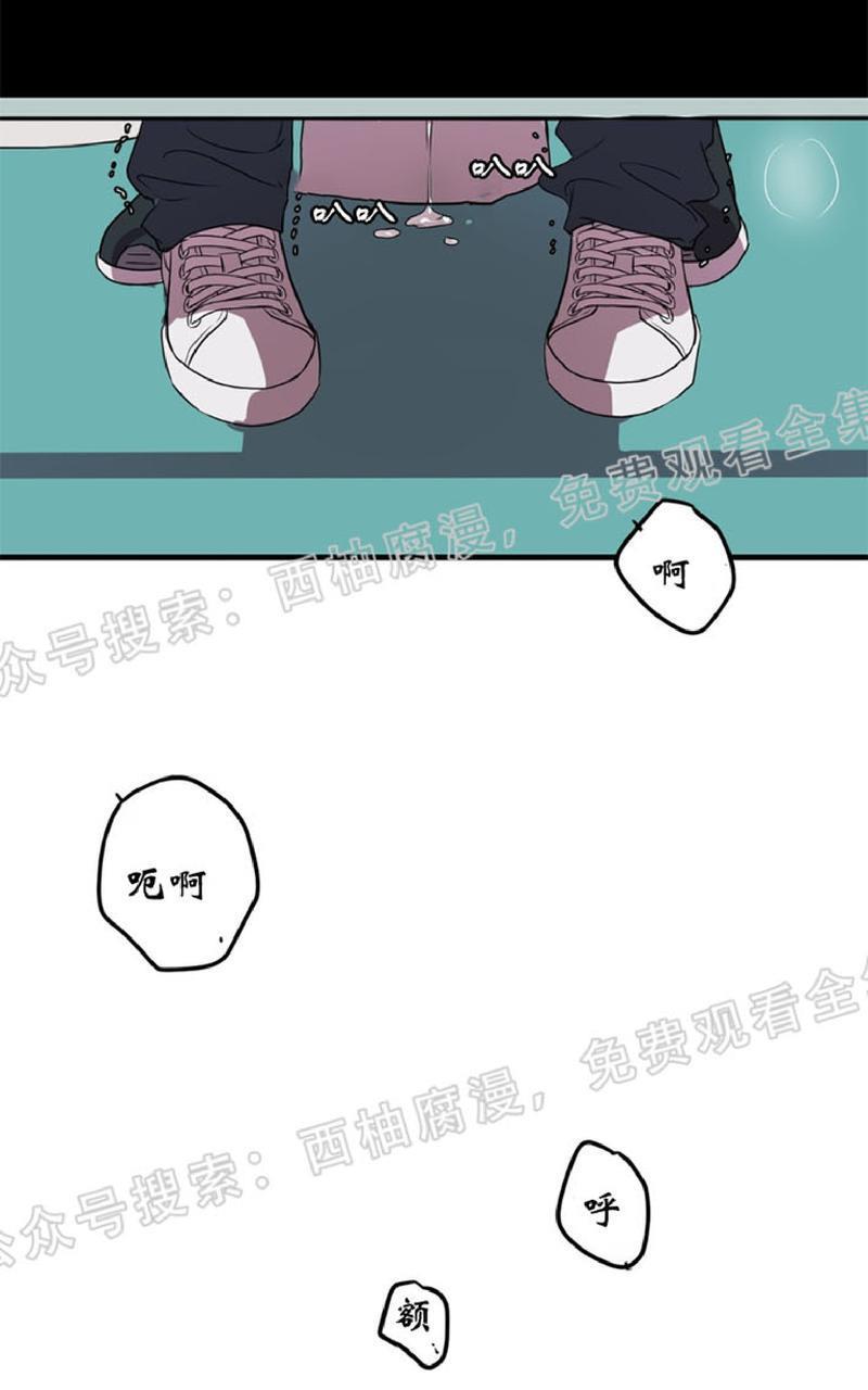Bodycomplex/身体情结[耽美]韩漫全集-第20话无删减无遮挡章节图片 